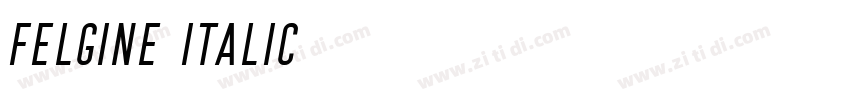 Felgine Italic字体转换